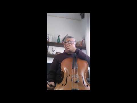 Il Violoncello  con Mauro Cipriani - Secondo incontro