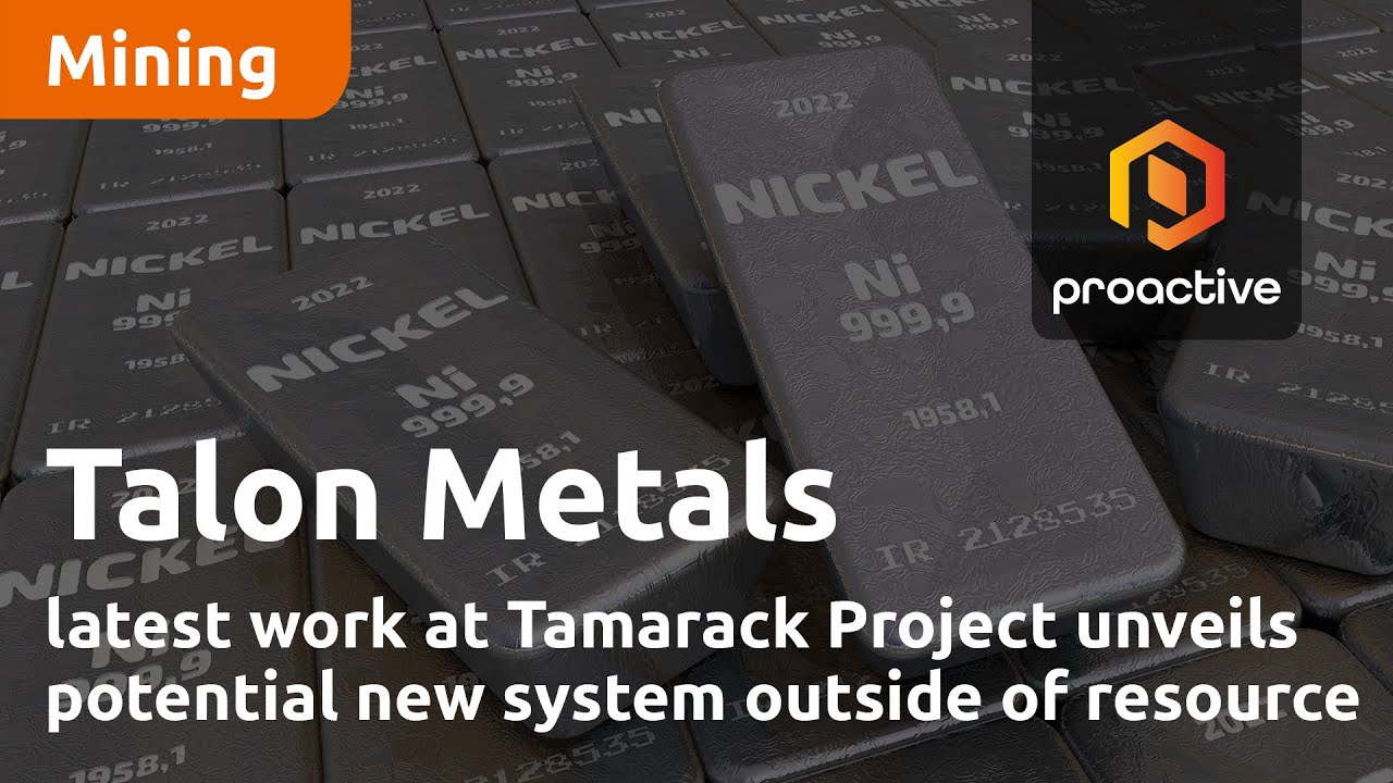 Talon Metals latest work at Tamarack Project unveils potential new system outside of resource