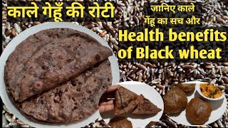 Black Roti/Black Wheat benefits/काले गेहुं की रोटी/black wheat