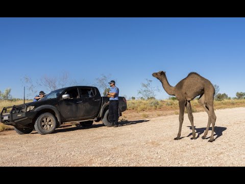 Policing the Desert in Western Australia