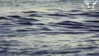 Armin van Buuren ft  System F - From the Heart (Juanfran remix) ★【MUSIC VIDEO TranceOnJeroen edit】★