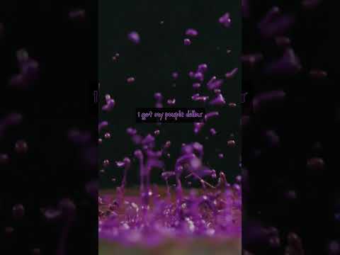 G$MOB X YENTOWN , B€W&PETZ&YZ&Junkman&YoungB - Purple Dollar$ #stumble