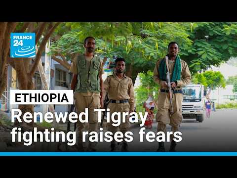 Ethiopia: renewed Tigray fighting raises fears of return to civil war