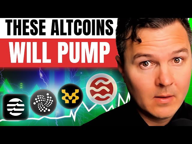 Lark Davis – 4 Criminally Undervalued Altcoins (20.02.2025 Summary)