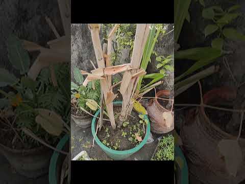 #newyear #100likes #hashtagsforlikes #like4follow #wow  #bye2022  #welcome2023  #noonelikesme