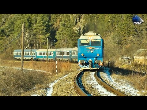 Concert de Goarne/Horns Concert By Isabella ~ Jimmy 65-0950-9 in Apuseni Mountains 23 January 2016