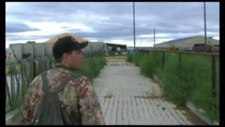 Dove Hunting Using Trulock Choke Tubes