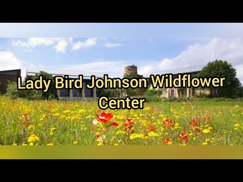 Lady Bird Johnson Wildflower Center || Austin || Jardim Botânico || Impostos @Nurworldtopics