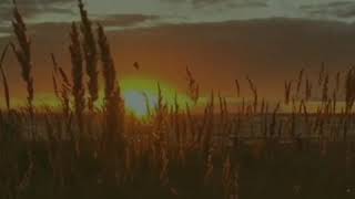 Download lagu Story wa islami keren l allah tau yg terbaik untuk jodoh seseorang mp3