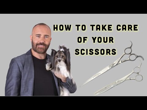 HOW TO TAKE CARE OF YOUR SCISSORS by JONATHAN DAVID