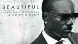 Akon Feat Rick Ross Give It To Em