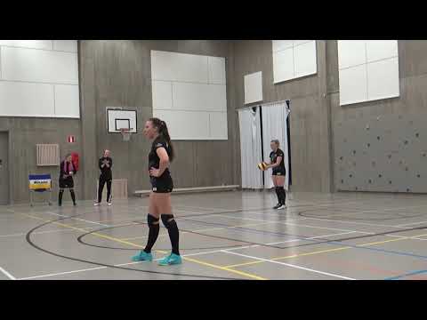 Tiikerit - Salpis 12.1.2020