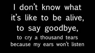 Ellie Goulding - Human (lyrics on screen)