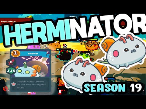 Top rank Shelter Hermit meta build - Axie infinity