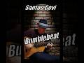 Govi - Bumblebeat