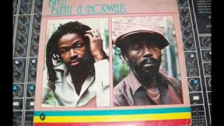 Bingy Bunny & Morwells "Ungrateful Baby" Roots Radics ~ Dubwise Selecta
