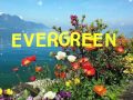 EVERGREEN with Lyrics By:Kenny Rogers