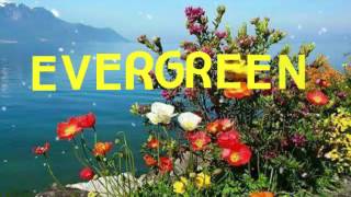 EVERGREEN with Lyrics By:Kenny Rogers