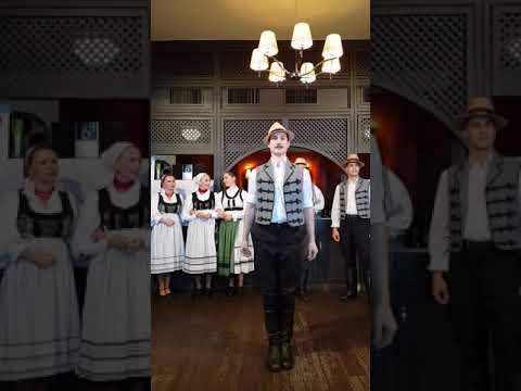 Hungarian Folklore Dancers!