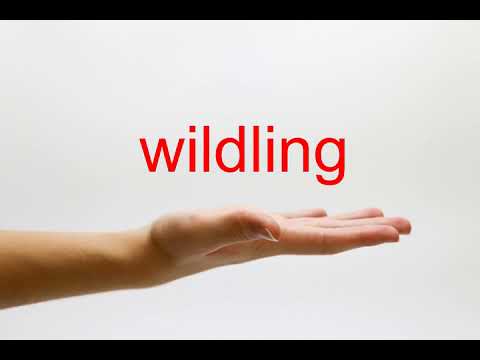 How to Pronounce wildling - American English