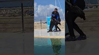 This seal dances like a pro in Ocean World  | Prince Cruise Line | Star Princess Review 2026