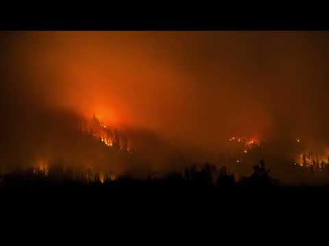 Antilles - Humanity Is Cancer (Official Lyric Video)