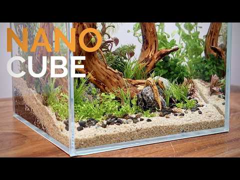 Making a Magical Nano Aquascape