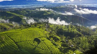 Download lagu ARI SIA SAHA #doel sumbang mp3