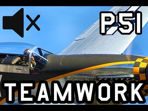 p51 teamwork