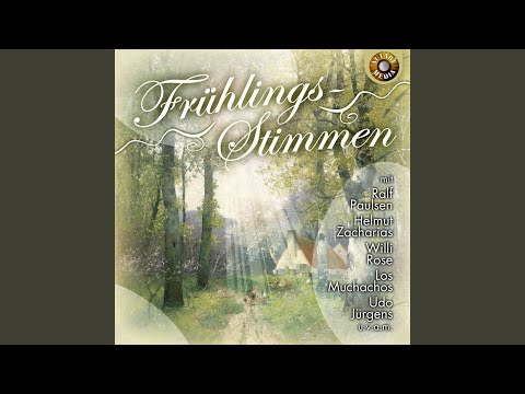 Good Day Sunshine video