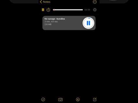 No Savage -bundles (unreleased song)