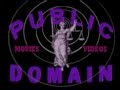 Public Domain 2013 Video Logo