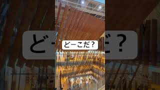 こーゆーところ好き#ピアノ #movie #music #shortvideo #夫婦 #日常 #shorts #short #travel #旅行