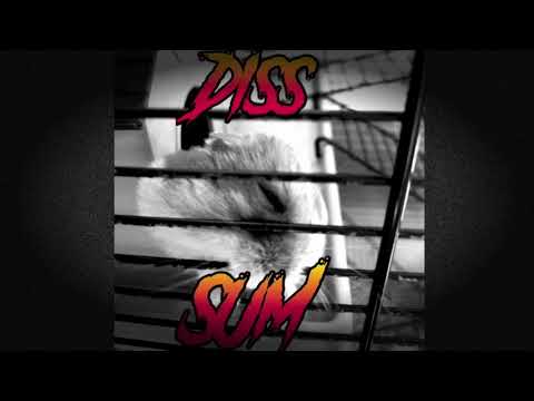 Young Zbyszek ft. tłumacz - DISS NA SUMA ŹDZISŁAWA