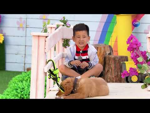 Баяржавхлан нохойдоо үлгэр ярьж өгсөн нь 😂🐶🐕