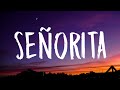 Shawn Mendes, Camila Cabello - Señorita (Lyrics)