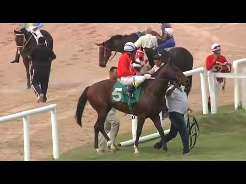 HIPODROMO SINT MELO 220407 c01 1° AQUILES MAX