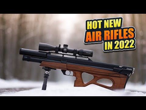 Top 8 Best New Air Rifles of 2022