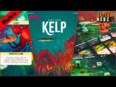 Kelp - Játékbemutató - Játékra kész / Play Right Away