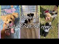Essa TikTok Comp Extra Long 1 Hour Of TikToks None Are Mine