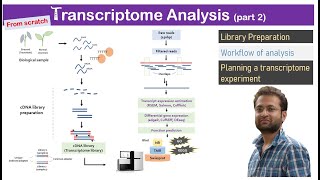 Transcriptome analysis_ Learn library preparation and data analysis from scratch_