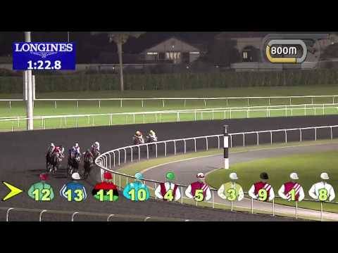 18.12.2013 Meydan (Dubai-UAE) 1.Race The Jaguar F- Type Trophy - Maiden 2.000 m