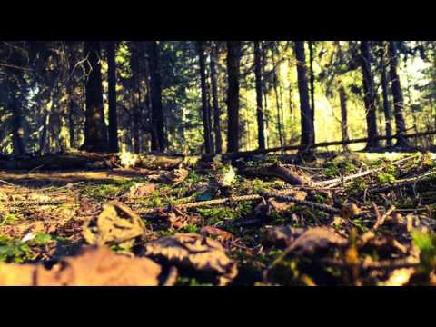 Odpowie ci wiatr - Piosenki harcerskie