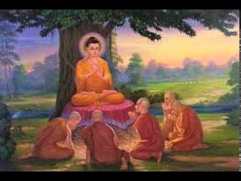 KING Kiribati : ZENNY CATER