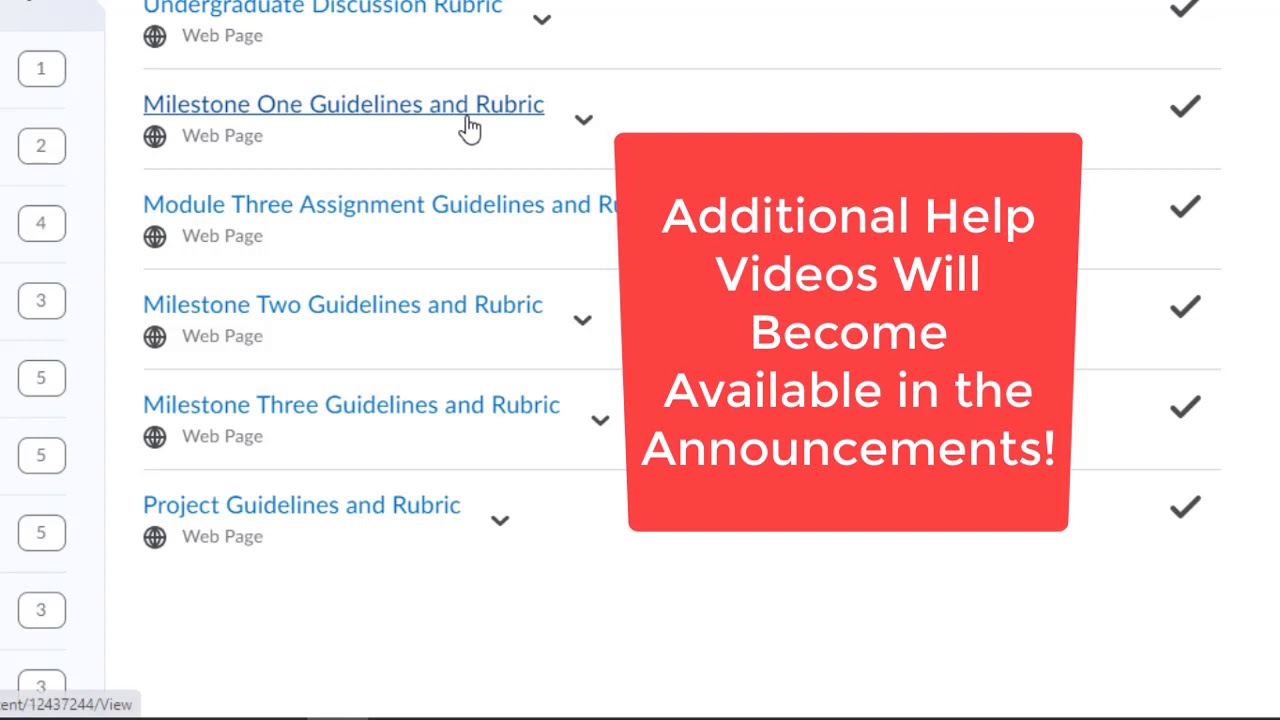 ACC202 Project Overview