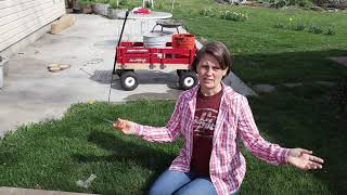 Burnt Ridge Nursery and Gurney&#39;s Unboxing | Trees for my #permaculture #foodforest