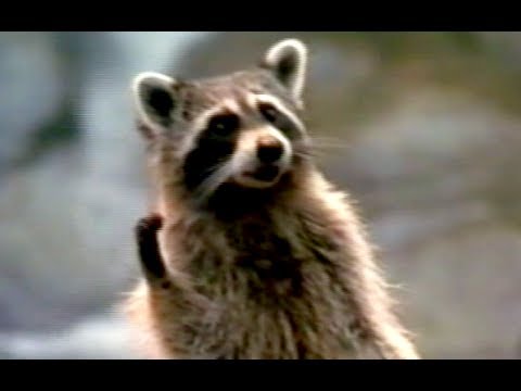 Trailer-Vorschau: Dr. Dolittle 2