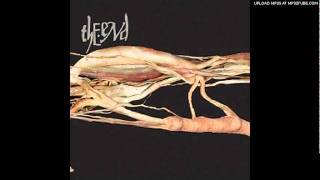 The End - The Asphyxiation of Lisa-Claire