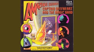 If You Don't Mind Stupid People / Little Scratch