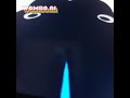 Laggy Pingu 123